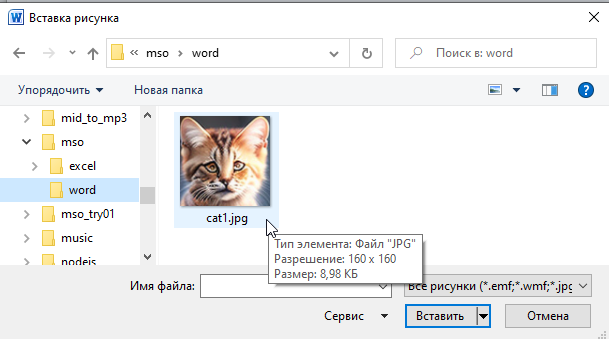 Файл d:\mso\word\cat1.jpg