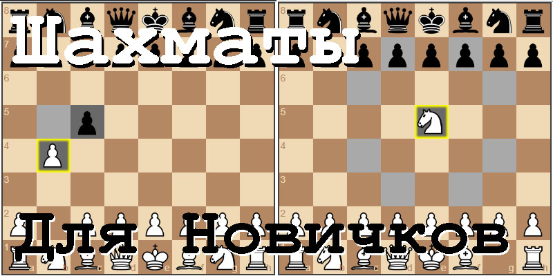 Шахматы, учебник шахматной игры для новичков.