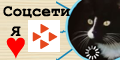 SkillsNet с информацией о wpvi.ru и писателе Константине Оборотове