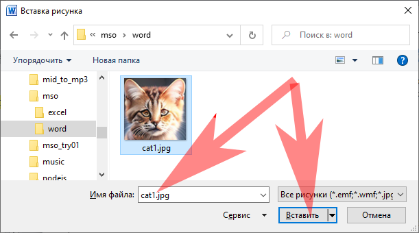 Имя файла: cat1.jpg теперь можно нажать "Вставить".